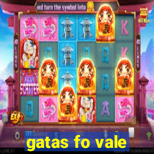 gatas fo vale